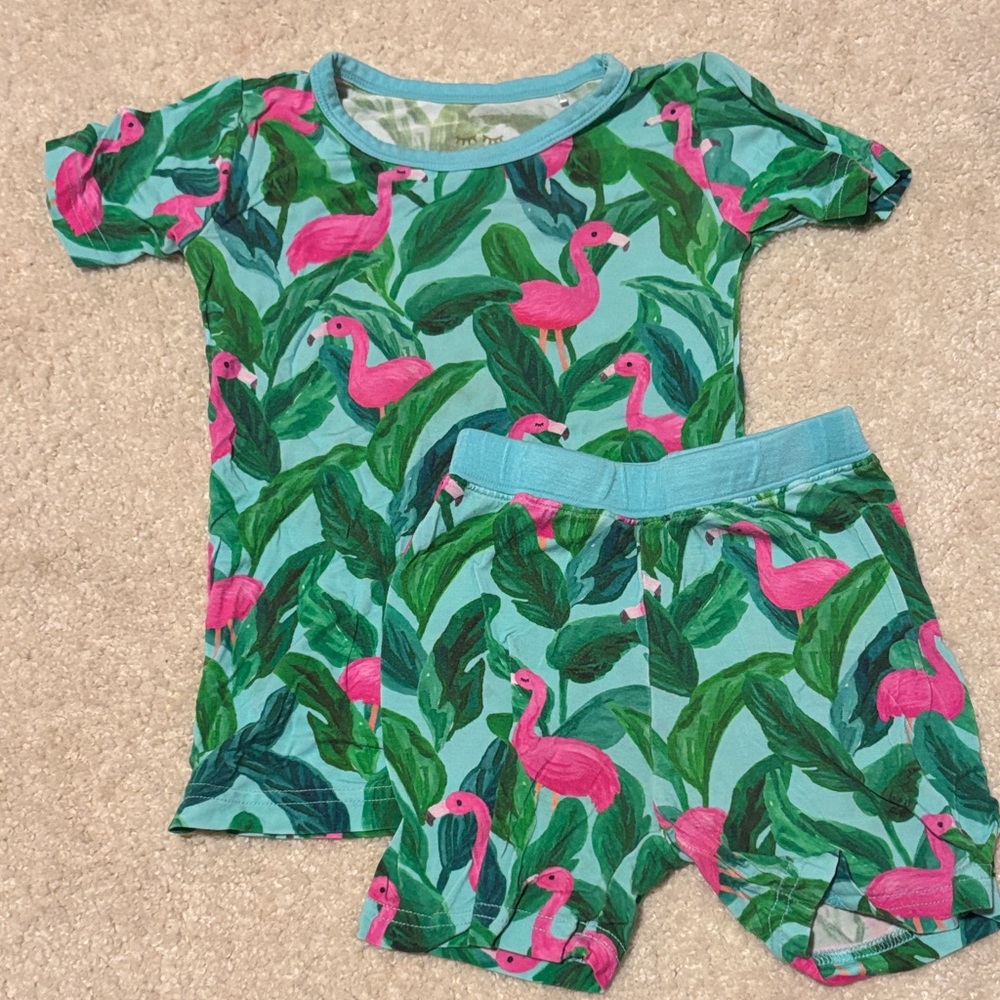 Little Sleepies Flamingo Leaf Kids Pajama Set - Blue and Pink